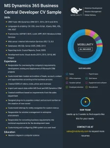 Microsoft Dynamics 365 Business Central Developer