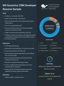 MS Dynamics CRM Developer