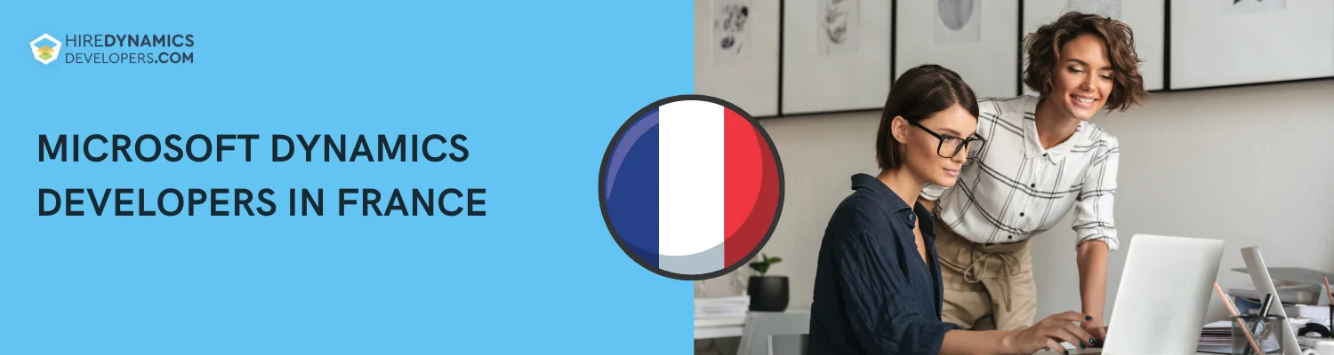 Microsoft Dynamics Developers in France